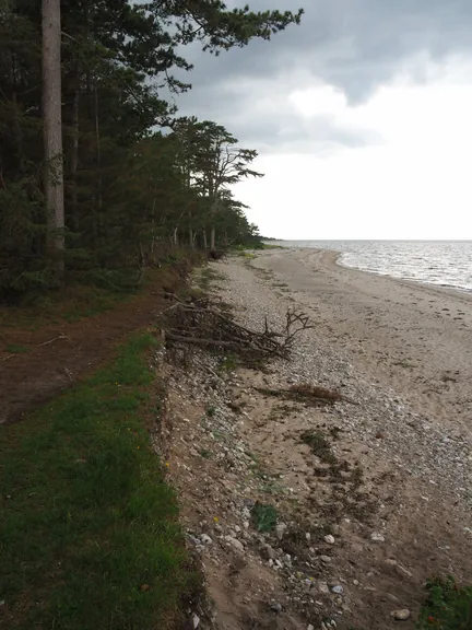 Halshuisene + Enebaerodde Beach (Denemarken)